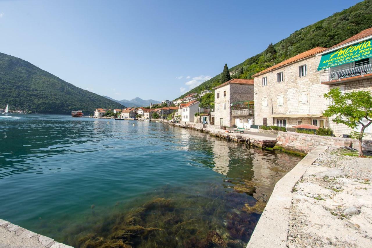 Lepetane